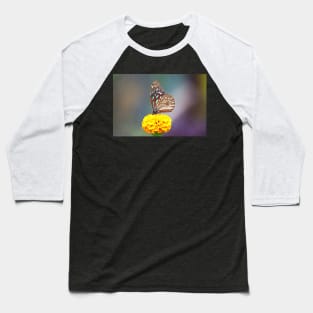 Tiger butterfly perched on a flower Baseball T-Shirt